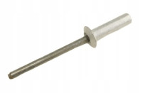 7703072051 - Rebite 4,8x17mm