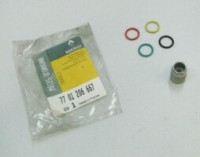 7701206667 - Jogo valvulas